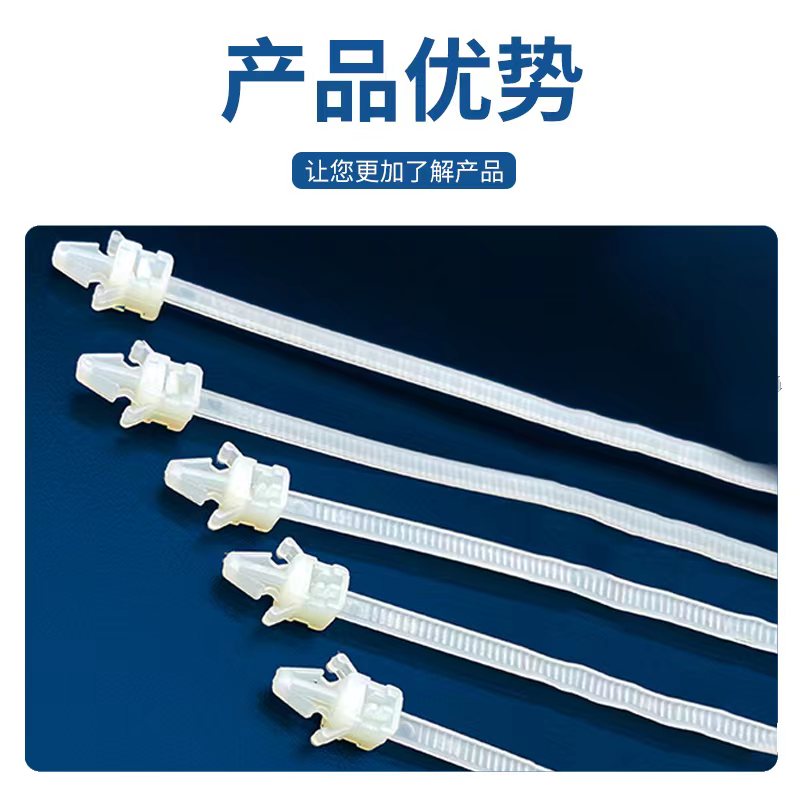 插销式扎线带5